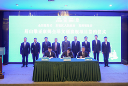 üɽ�S����ķ���H�Ą�(chu��ng)�Ŀ��ʽ���